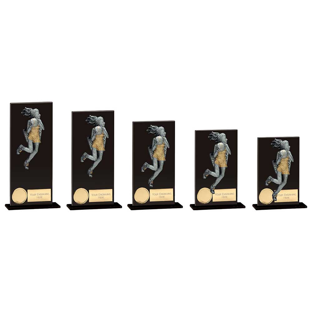 Personalised Engraved Euphoria Hero Glass Netball Trophy 5 Sizes Available Free Engraving