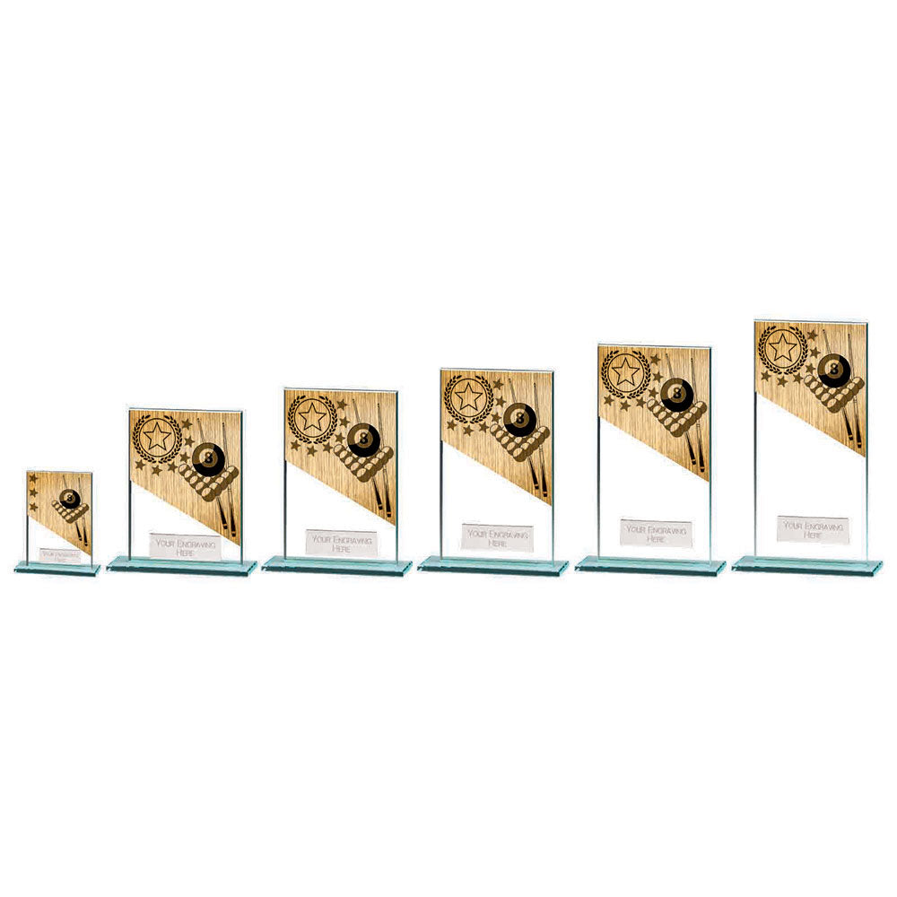 Personalised Engraved Mustang Glass Pool Trophy 5 Sizes Available Free Engraving