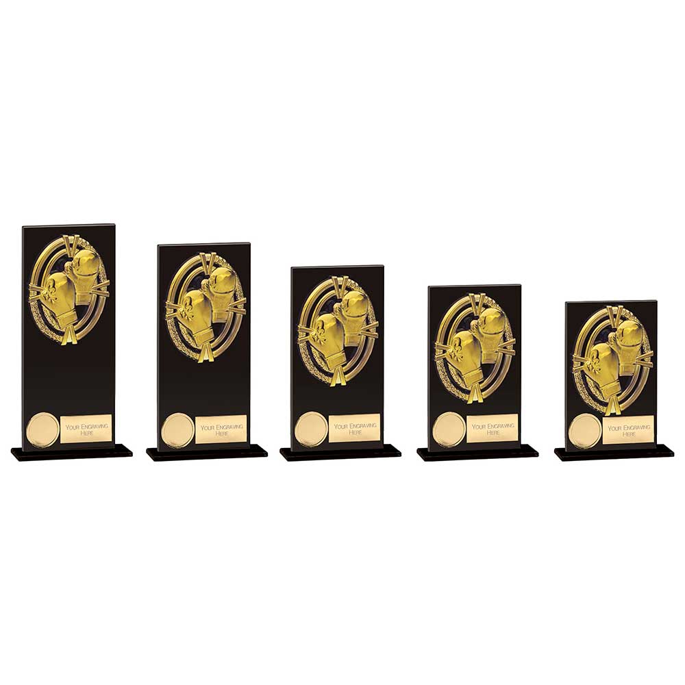 Personalised Engraved Fusion Maverick Glass Boxing Trophy 5 Sizes Available Free Engraving