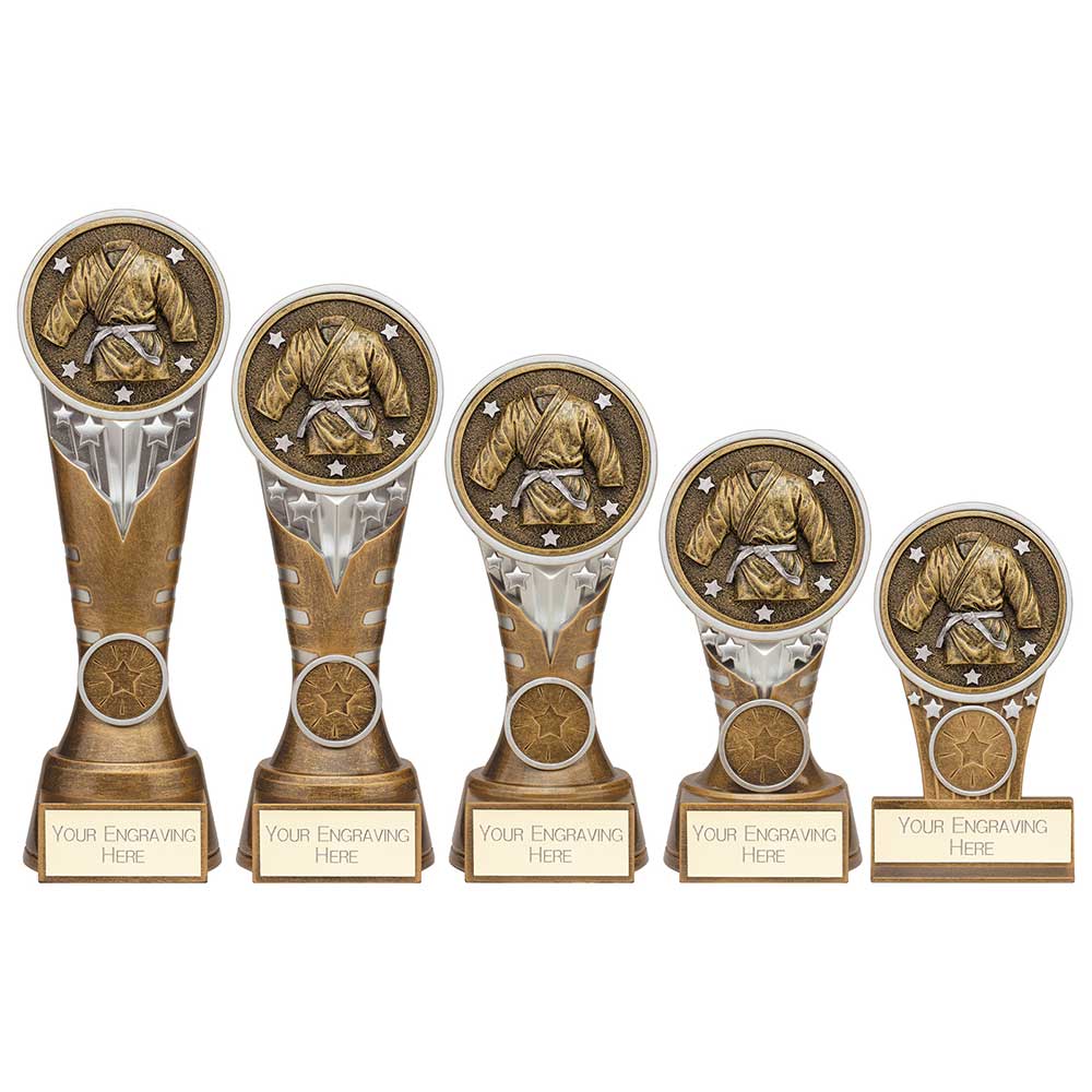 Personalised Engraved Ikon Martial Arts Trophy 5 Sizes Available Free Engraving