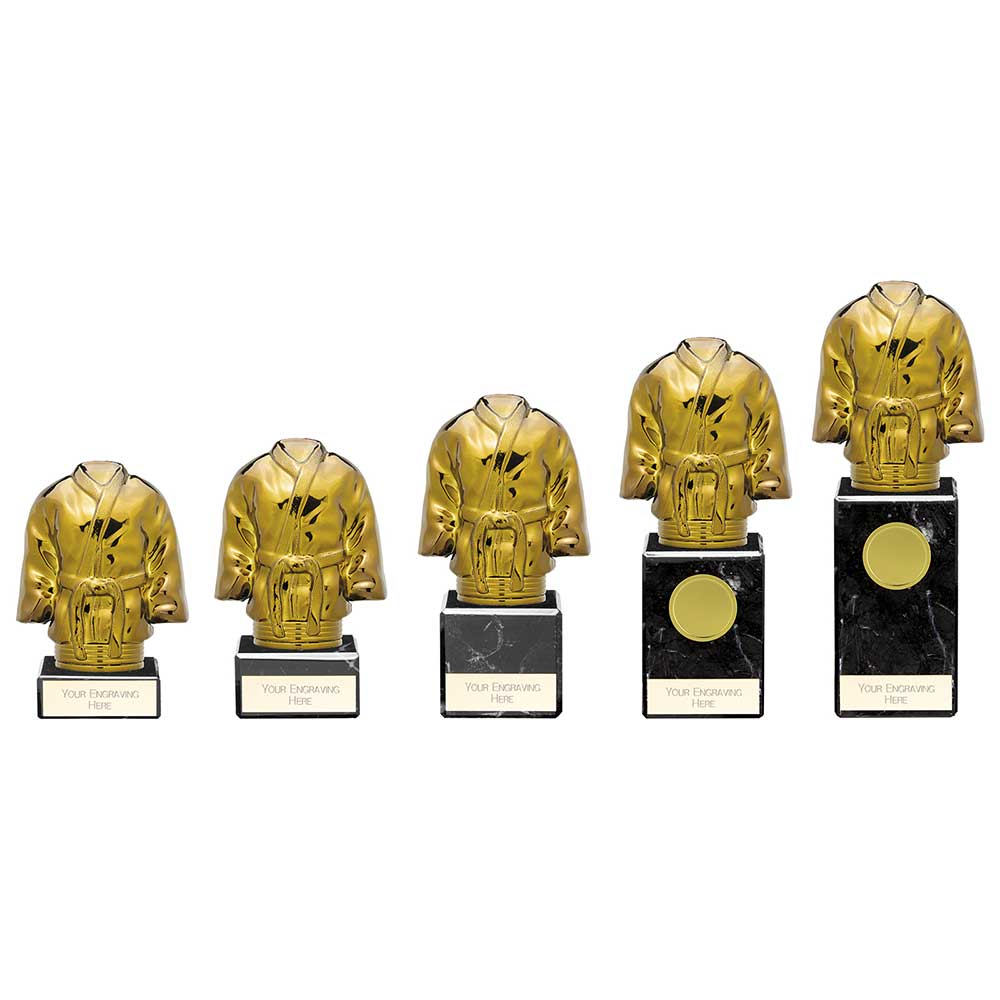Personalised Engraved Fusion Viper Legend Martial Arts Trophy 5 Sizes Available Free Engraving