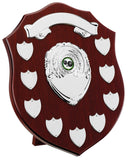Personalised Engraved Annual Shield Trophy Any Sport/Multi Sport 4 Sizes Available Free Engraving