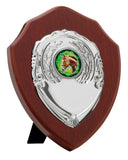Personalised Engraved Any Sport Multi Sport Shield Trophy 4 Sizes Available Free Engraving