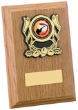 Personalised Engraved Any Sport Multi Sport Plaque Trophy 3 Sizes Available Free Engraving