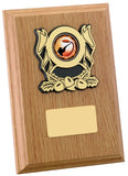 Personalised Engraved Any Sport Multi Sport Plaque Trophy 3 Sizes Available Free Engraving