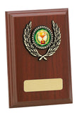 Personalised Engraved Any Sport Multi Sport Plaque Trophy 3 Sizes Available Free Engraving