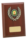 Personalised Engraved Any Sport Multi Sport Plaque Trophy 3 Sizes Available Free Engraving