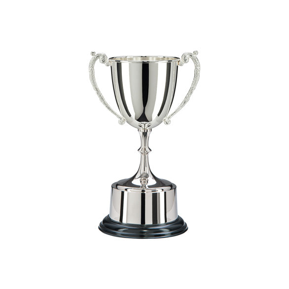 Personalised Engraved Highgrove Nickel Plated Annual Cup 3 Sizes Available Free Engraving