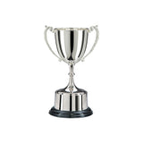 Personalised Engraved Highgrove Nickel Plated Annual Cup 3 Sizes Available Free Engraving