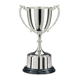 Personalised Engraved Highgrove Nickel Plated Annual Cup 3 Sizes Available Free Engraving