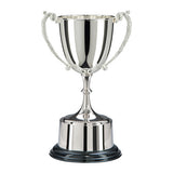 Personalised Engraved Highgrove Nickel Plated Annual Cup 3 Sizes Available Free Engraving