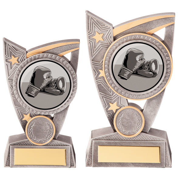 Personalised Engraved Triumph Boxing Trophy 2 Sizes Available Free Engraving