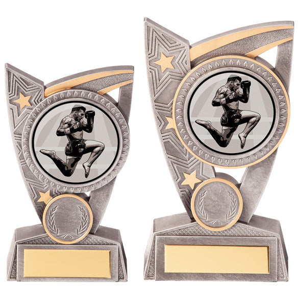 Personalised Engraved Triumph Kickboxing Trophy 2 Sizes Available Free Engraving