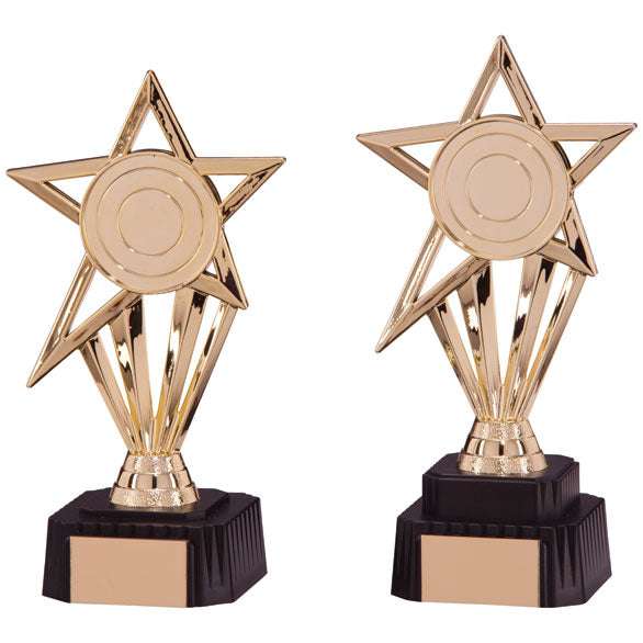 Personalised Engraved High Star Any Sport Multi Sport Trophy 2 Sizes Available Free Engraving