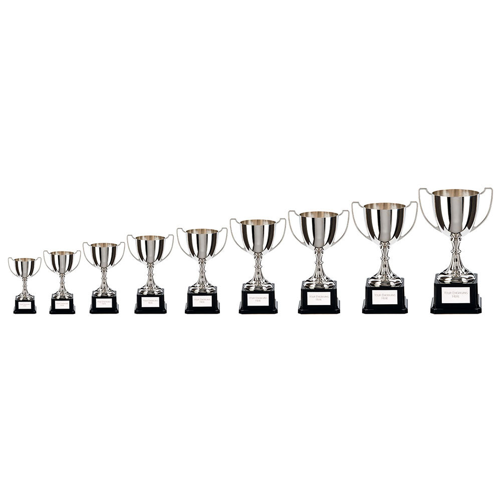 Personalised Engraved Legend Nickel Plated Annual Cup 9 Sizes Available Free Engraving