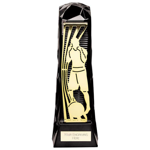Personalised Engraved Shard Boxing Trophy Free Engraving