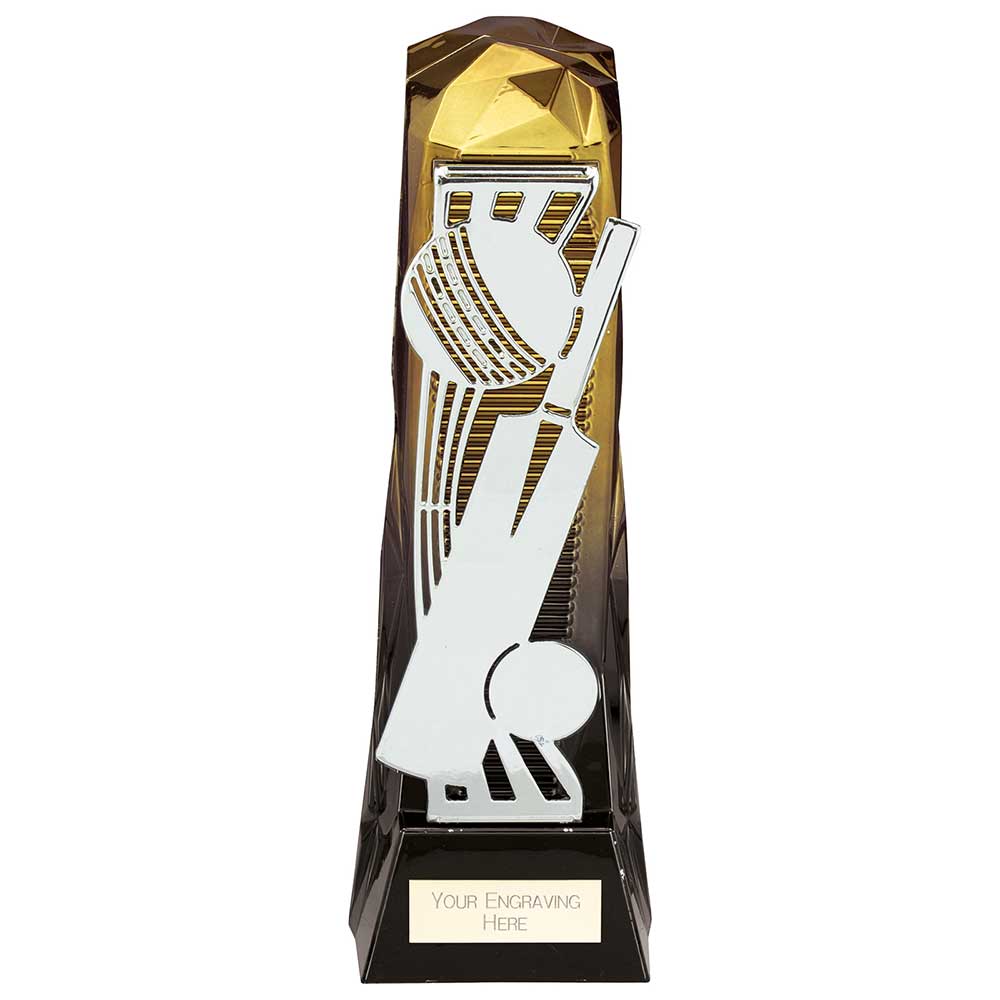 Personalised Engraved Shard Cricket Trophy Free Engraving