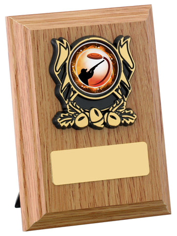 Personalised Engraved Any Sport Multi Sport Plaque Trophy 3 Sizes Available Free Engraving