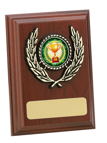 Personalised Engraved Any Sport Multi Sport Plaque Trophy 3 Sizes Available Free Engraving