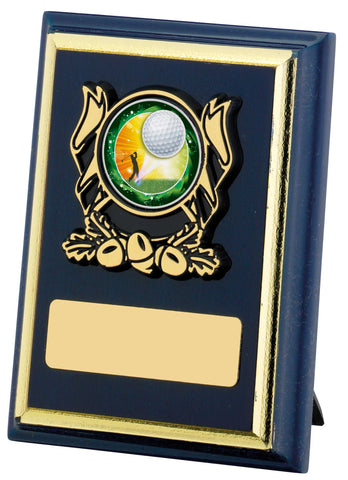 Personalised Engraved Any Sport Multi Sport Plaque Trophy 3 Sizes Available Free Engraving