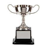 Personalised Engraved Tavistock Nickel Plated Cup 2 Sizes Available Free Engraving