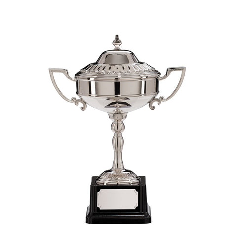 Personalised Engraved Sterling Nickel Plated Annual Cup Free Engraving