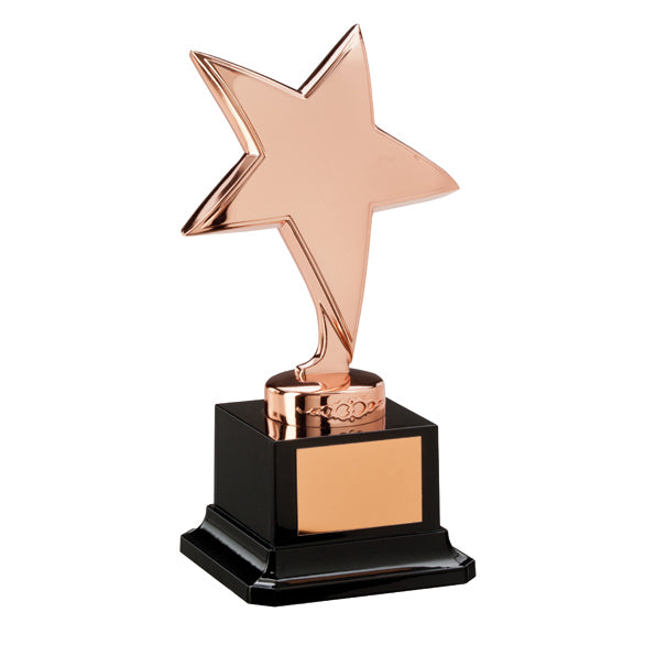 Personalised Engraved The Challenger Star Bronze Award Trophy 2 Sizes Available Free Engraving