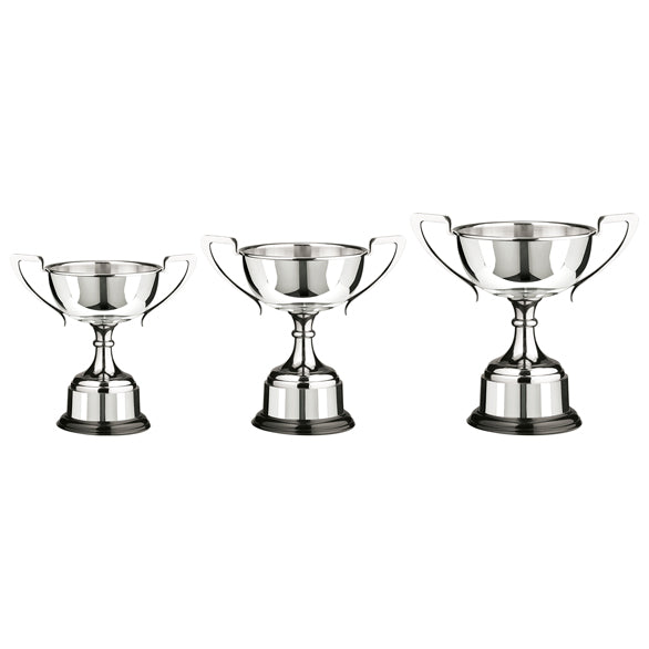 Personalised Engraved Chesterwood Nickel Plated Annual Cup 3 Sizes Available Free Engraving