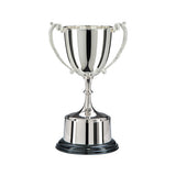 Personalised Engraved Highgrove Nickel Plated Annual Cup 3 Sizes Available Free Engraving