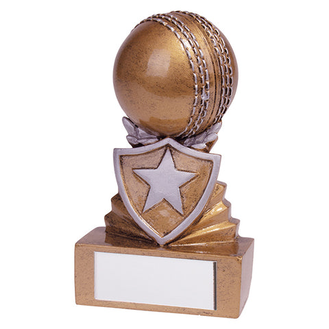 Personalised Engraved Shield Cricket Trophy Free Engraving