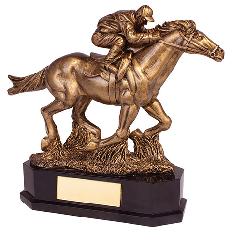 Personalised Engraved Aintree Deluxe Equestrian Trophy Free Engraving