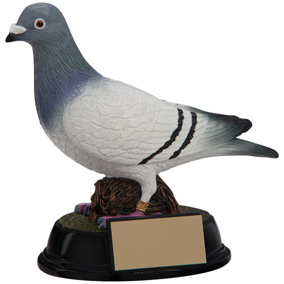 Pigeon Resin Trophy