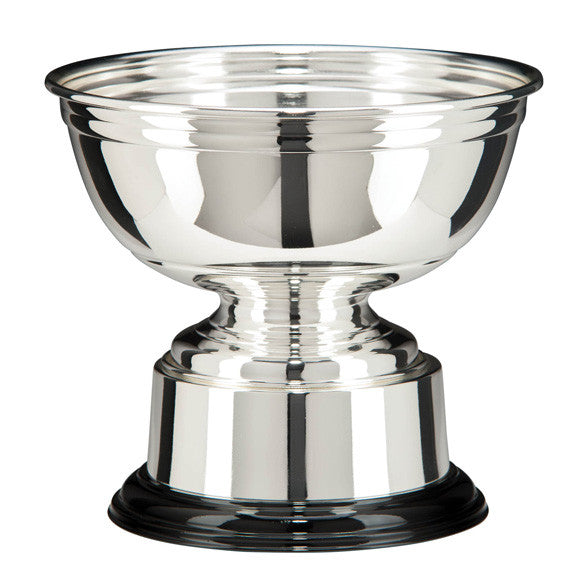 Any Sport Silver Plated Cup Trophy