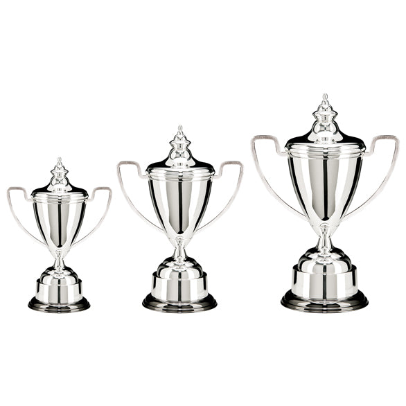 Personalised Engraved Warwick Silver Plated Annual Cup 3 Sizes Available Free Engraving